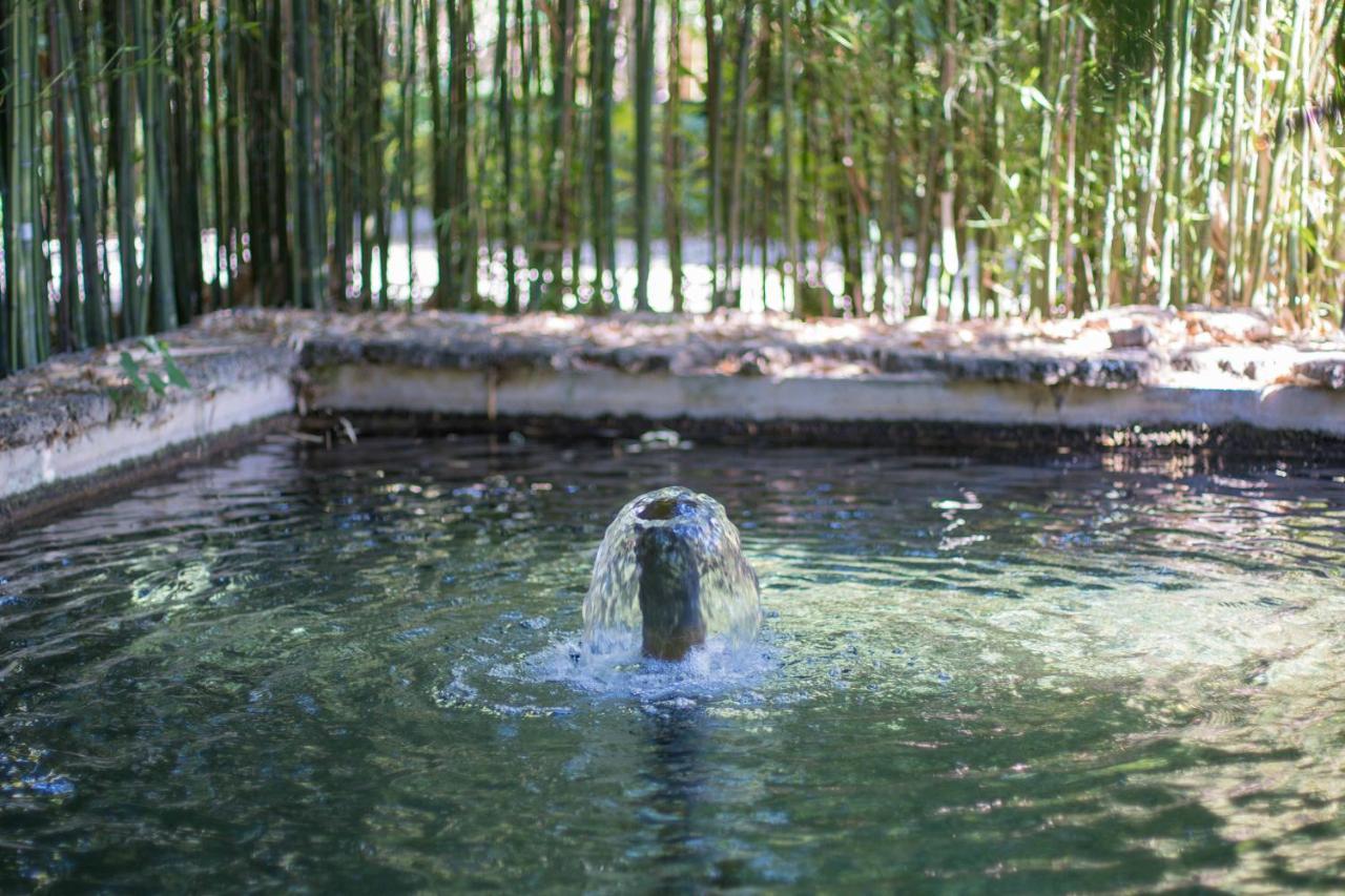 Las Aguas Del Arbuniel Con Pista De Padel Exterior foto